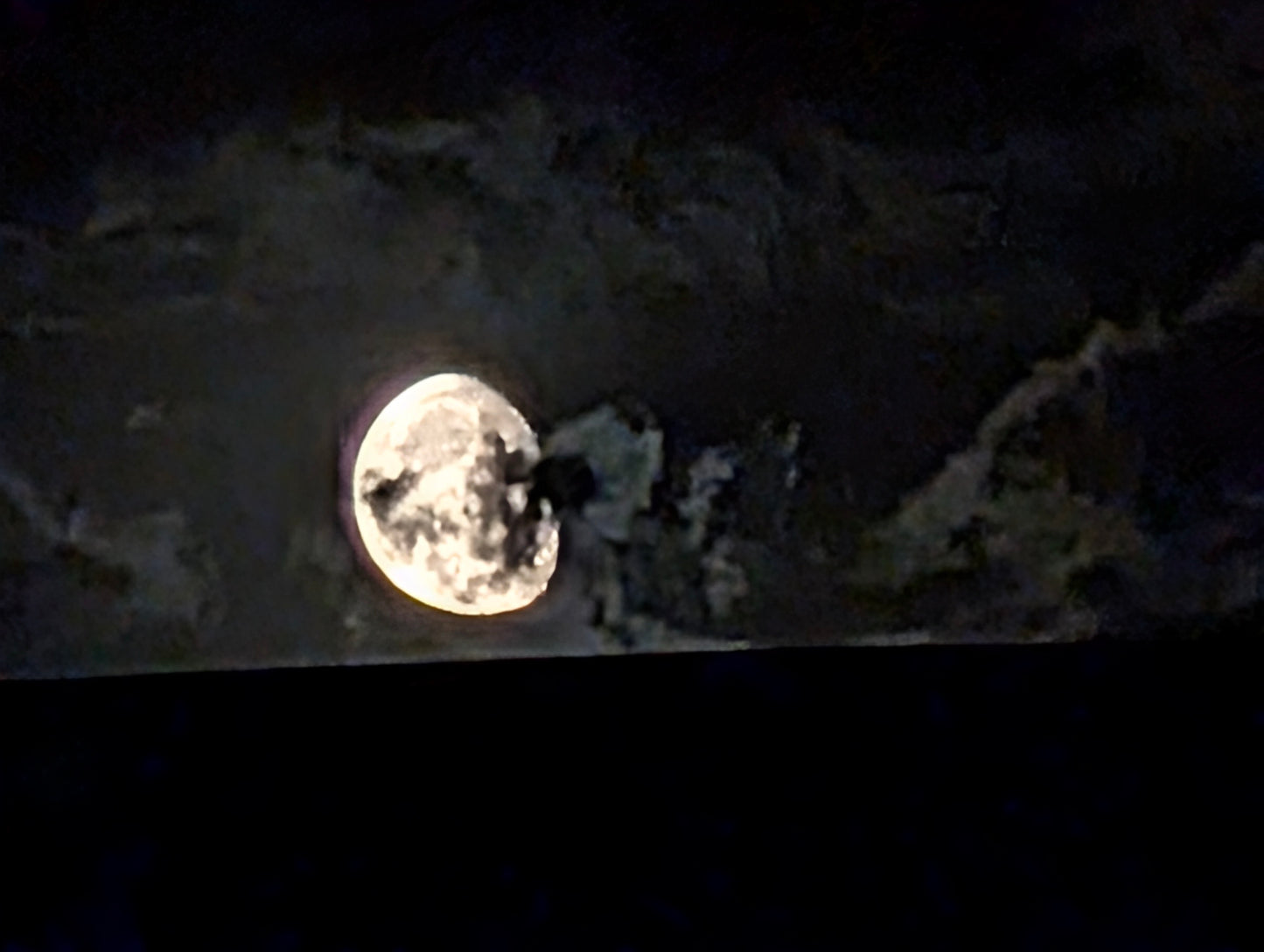 Photo #6